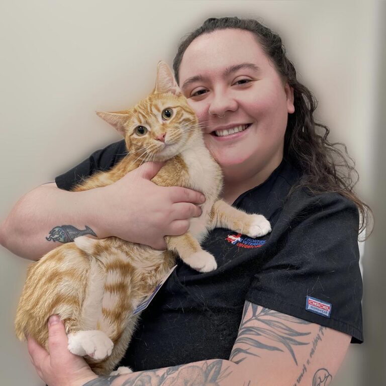 Our Team at Frontier Veterinary - Megan Wood CVT 768x768
