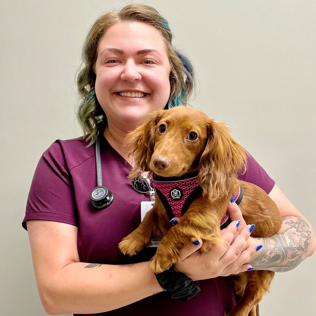 female staff member smiling and holding fluffy red dachshund